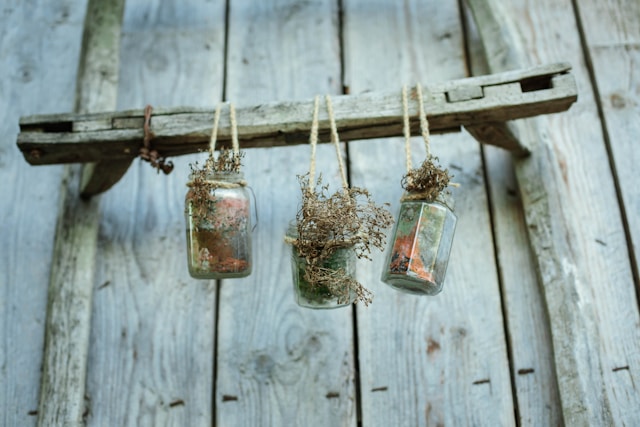 how to hang plants