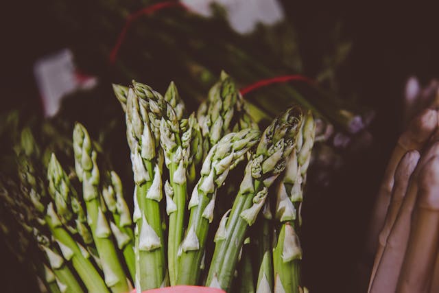 Guide to Growing Asparagus
