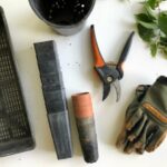 Garden Tools to Cut Branches