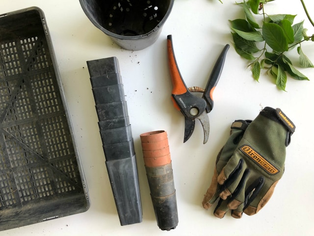 Garden Tools to Cut Branches