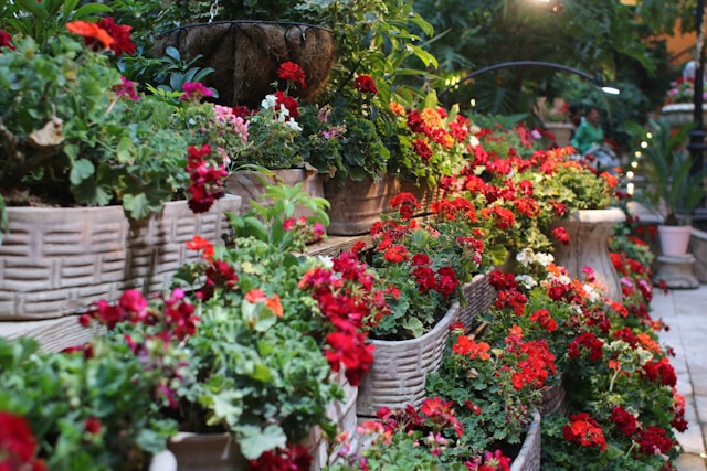 Enchanted Gardening