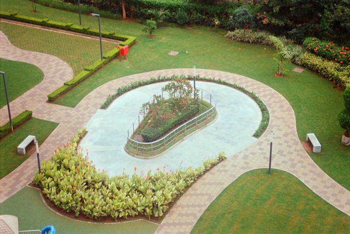 Modern urban garden design with curved walkways