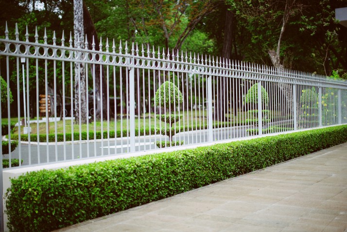 white metal garden fence with decorative spikes