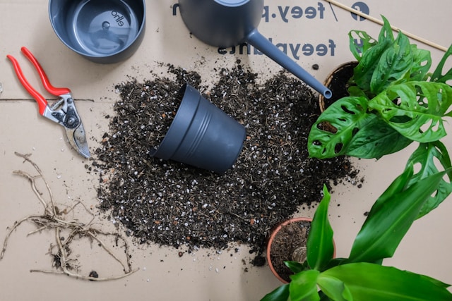 charcoal for gardening