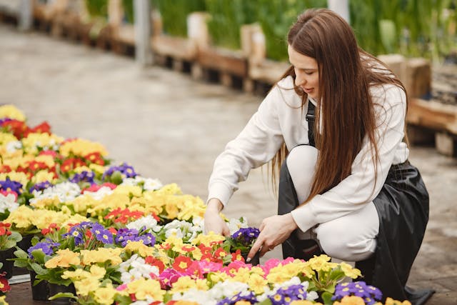 pollinator friendly flowers for gardening bee