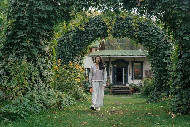 metal gardening edging