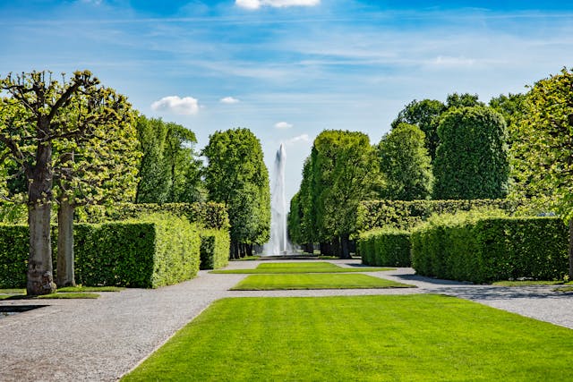 beauty of gardening artwork