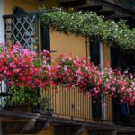 gardening in balcony