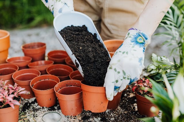 soil for container gardening